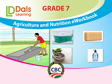 Pre-Primary 1